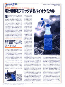 Salt X Article - In Japan